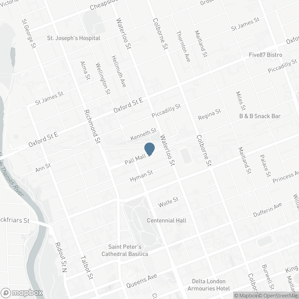 303 PALL MALL STREET, London, Ontario N6B 2G8
